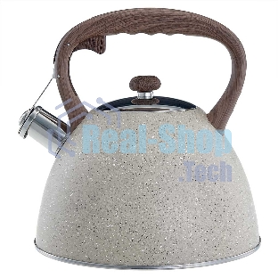 Чайник ALPENKOK AK-533 3 л