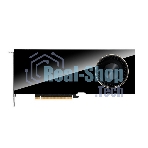 Видеокарта Nvidia RTX 6000 Ada, 1 year
