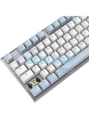 Клавиатура проводная A4Tech Fstyler FS100 Neon, USB, синий/белый