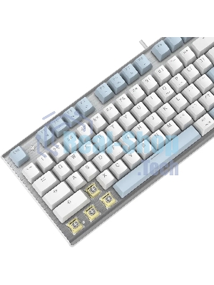 Клавиатура проводная A4Tech Fstyler FS100 Neon, USB, синий/белый
