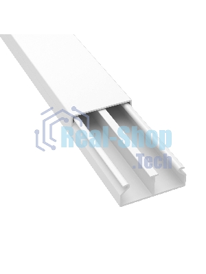 Мини-канал с перегородкой DKC (ДКС) TMC 40/2x17