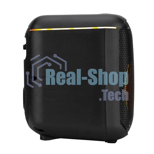Колонка ELTRONIC 30-78 DANCE BOX 550 - 08