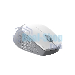 Мышь беспроводная Genius NX-8000S BT белый, 1200 dpi, радиоканал, Bluetooth, USB, кнопки - 3