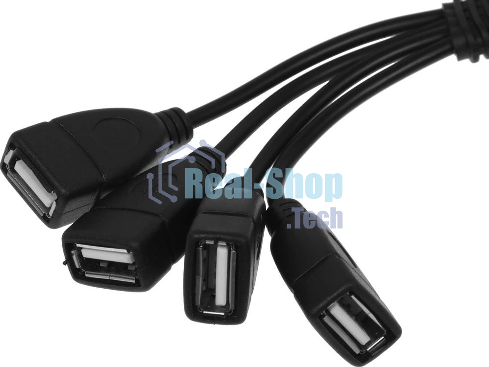 USB-концентратор Buro BU-HUB4-0.3-U2.0-Splitter, USB 2.0, USB 4 порта, USB