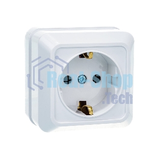 Розетка 1-м BOLLETO с заземл. накл. 7028 белый ASD/IN HOME 4680005959792
