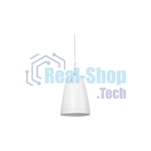 Акустическая система INTREND ITSPK-550PT-W двухполосная, подвесная, 5