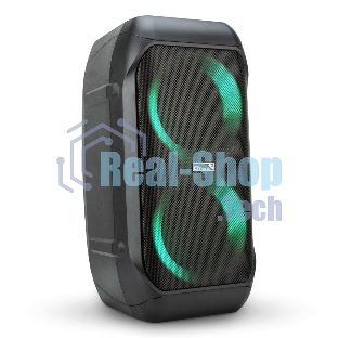 Колонка Eltronic 06