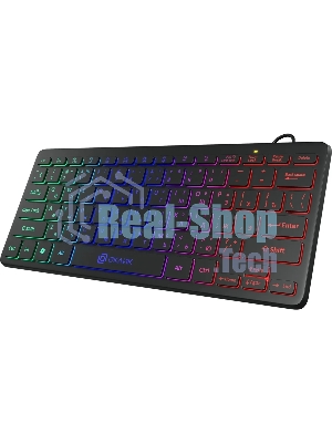 Клавиатура проводная Oklick Oklick 300S черный USB