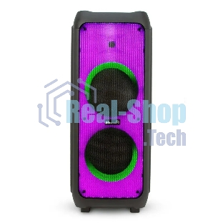 Колонка Eltronic 10