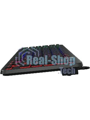 Клавиатура проводная Oklick Oklick 300S черный USB