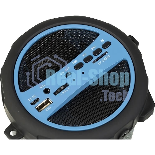 Колонка портативная Hyundai H-PAC220 черный/голубой 10W 1.0 BT/3.5Jack/USB