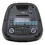 Колонка Eltronic 10