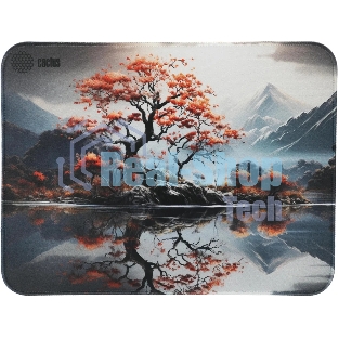 Коврик для мыши Cactus Lake 400x300x3мм (CS-MP-PRO18XL)