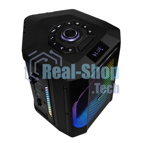 Колонка Eltronic 30-81 DANCE BOX 550 - 08