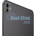 Планшет Apple iPad Pro 2024 A2837 11