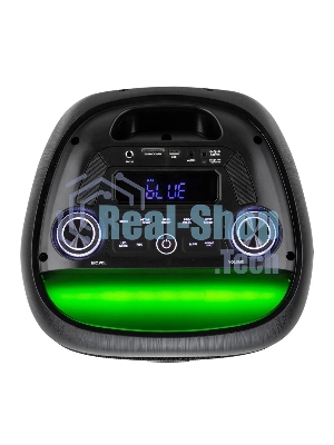 Колонка Eltronic 08