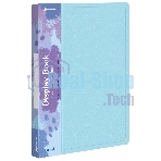 Папка с 20 прозрачными вкладками Бюрократ Pastel PAST20BLUE A4, пластик, 0.5мм, торцевой карман с бумажной вставкой, голубой