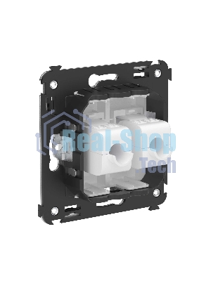 Розетка компьютерная DKC Avanti 4400664 RJ-45 без шторки в стену, кат.5е двойная, 
