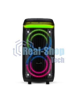 Колонка Eltronic 08