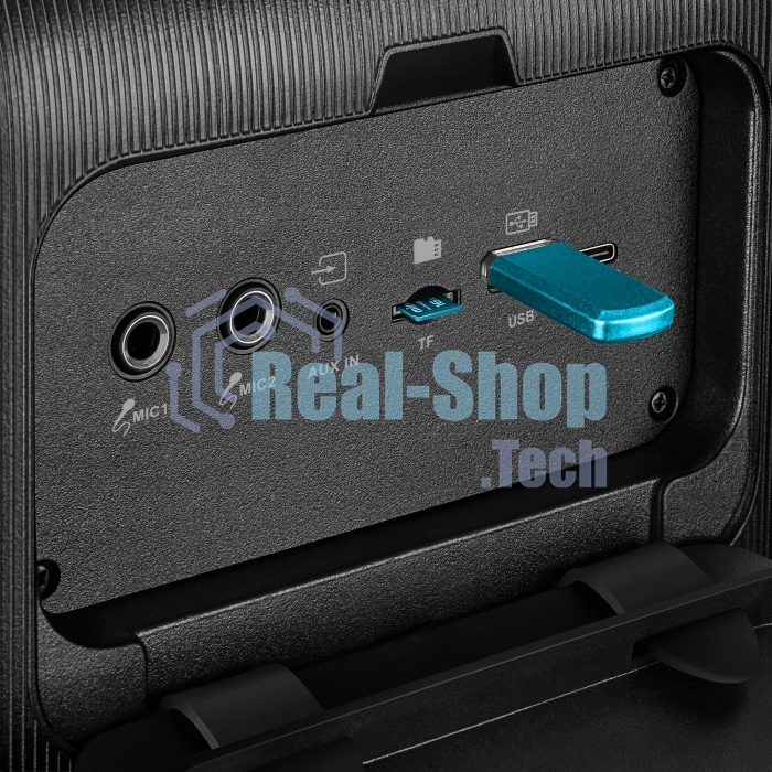 Портативная колонка SVEN PS-880, черный, 1.0, 110 Вт (RMS), Bluetooth, FM, USB, microSD, LED-дисплей, аккумулятор