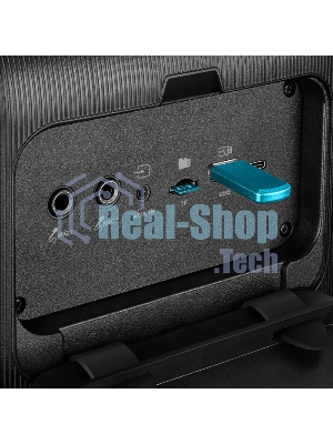Портативная колонка SVEN PS-880, черный, 1.0, 110 Вт (RMS), Bluetooth, FM, USB, microSD, LED-дисплей, аккумулятор