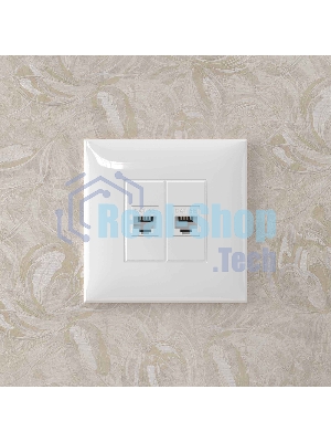 Розетка компьютерная DKC Avanti 4400664 RJ-45 без шторки в стену, кат.5е двойная, 