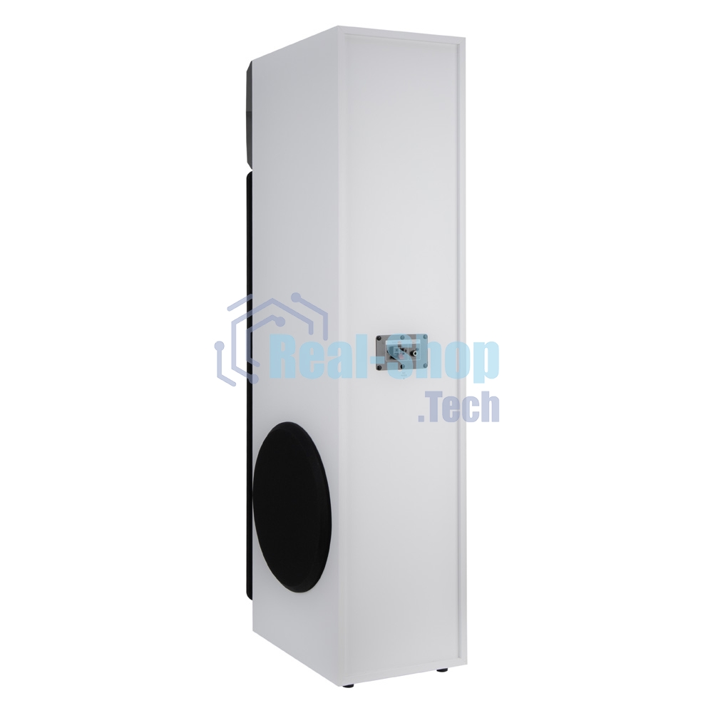 Акустическая система ELTRONIC (30-58) HOME SOUND - колонка 10
