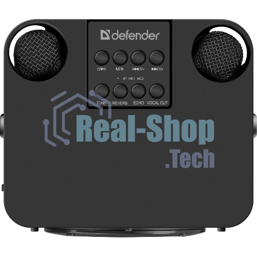 Портативная колонка Defender Versuz 15Вт,