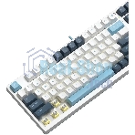 Клавиатура проводная A4Tech Fstyler FS300 (FS300 PANDA SNOWBOARDING), USB, белый/синий