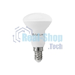 Лампа светодиодная Defender R50-6W-865-E14 рефлектор, 6500 К, холодный дневной,1шт
