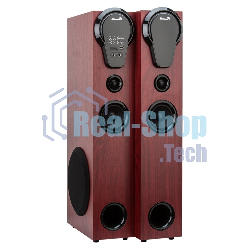Колонка Eltronic 08