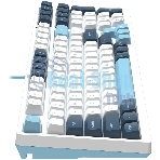 Клавиатура проводная A4Tech Fstyler FS300 (FS300 PANDA SNOWBOARDING), USB, белый/синий