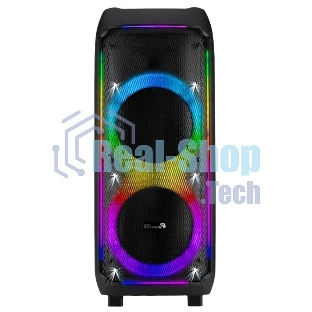 Колонка Eltronic 10