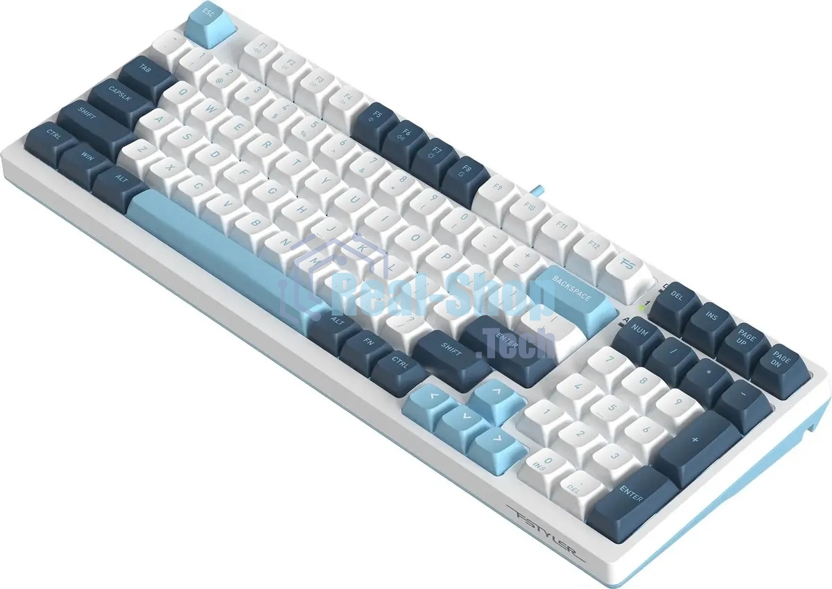 Клавиатура проводная A4Tech Fstyler FS300 (FS300 PANDA SNOWBOARDING), USB, белый/синий
