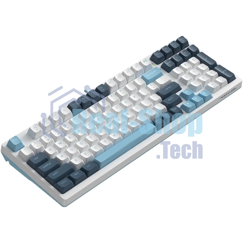 Клавиатура проводная A4Tech Fstyler FS300 (FS300 PANDA SNOWBOARDING), USB, белый/синий