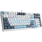 Клавиатура проводная A4Tech Fstyler FS300 (FS300 PANDA SNOWBOARDING), USB, белый/синий