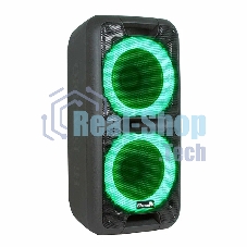 Колонка Eltronic 10