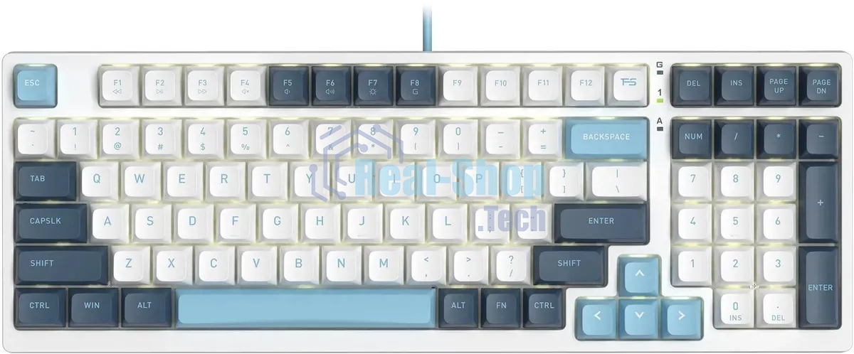 Клавиатура проводная A4Tech Fstyler FS300 (FS300 PANDA SNOWBOARDING), USB, белый/синий