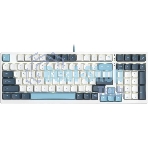 Клавиатура проводная A4Tech Fstyler FS300 (FS300 PANDA SNOWBOARDING), USB, белый/синий