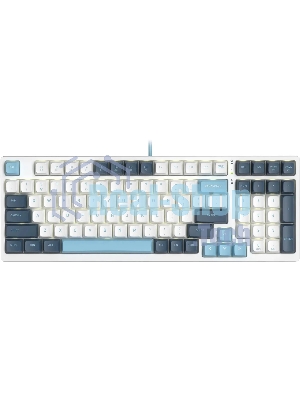 Клавиатура проводная A4Tech Fstyler FS300 (FS300 PANDA SNOWBOARDING), USB, белый/синий