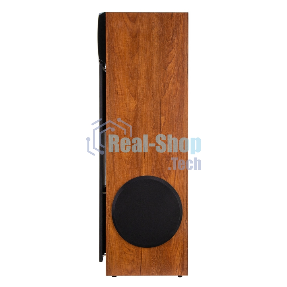 Акустическая система ELTRONIC (30-58) HOME SOUND - колонка 10