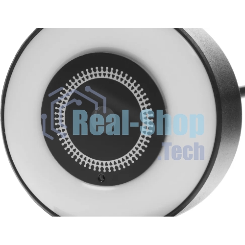 Веб-камера Ritmix RVC-250 2592x1944, 30 кадр/с, USB Type-A, микрофон, автоматическая фокусировка, универсальное крепление
