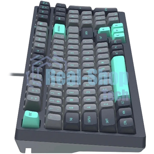 Клавиатура проводная A4Tech Fstyler FS300 механическая черный/серый USB for gamer LED (FS300 PANDA ROCK)