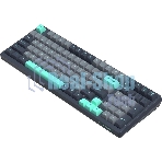 Клавиатура проводная A4Tech Fstyler FS300 механическая черный/серый USB for gamer LED (FS300 PANDA ROCK)