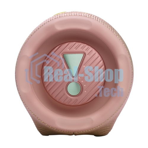 Портативная акустика JBLCHARGE6PINK розовый