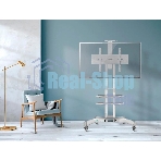 Стойка для телевизора с кронштейном ONKRON TS1552 40