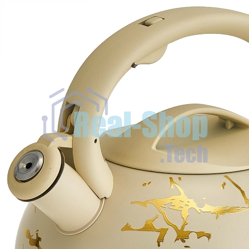 Чайник ALPENKOK AK-541 3 л
