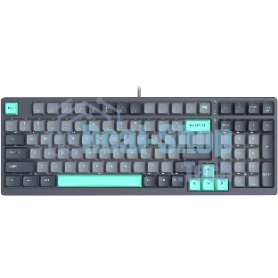 Клавиатура проводная A4Tech Fstyler FS300 механическая черный/серый USB for gamer LED (FS300 PANDA ROCK)