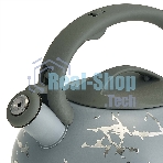 Чайник для плиты ALPENKOK AK-540 3 л