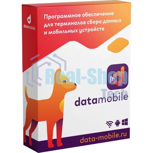 Программное обеспечение Неискл. право на исп-ие DataMobile версия Стандарт подп.1г. (DM12M)